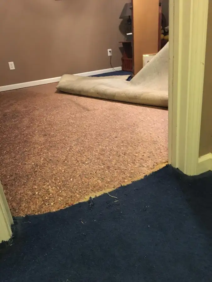 Carpet pad removal revealing water damage during Drying & Dehumidification in Westport